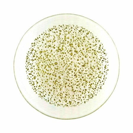 RED POMEGRANATE COLLECTION 7 in. Isla Canape Plates, Clear & Gold - Set of 4 4960-1